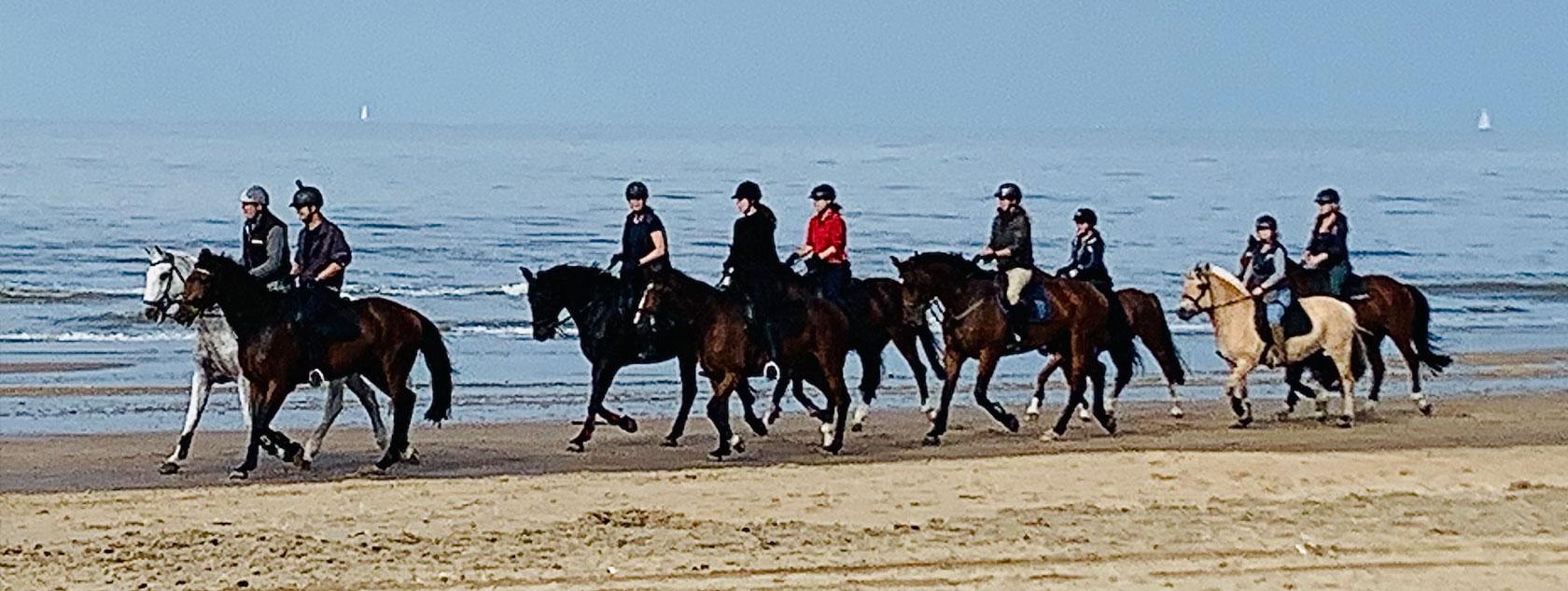 Zandvoort Beach for Amsterdam