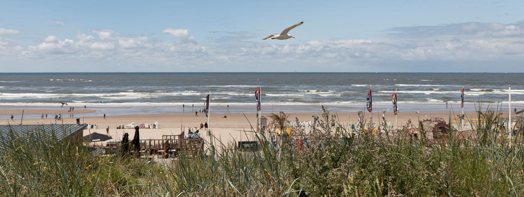 Zandvoort Beach for Amsterdam